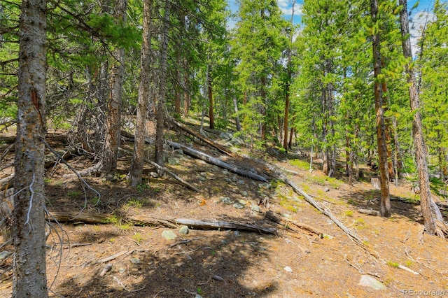 0000 Dry Gulch, Fairplay, CO 80440