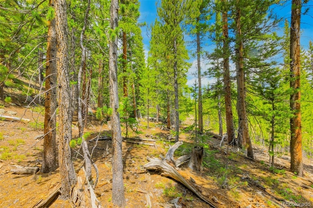 0000 Dry Gulch, Fairplay, CO 80440