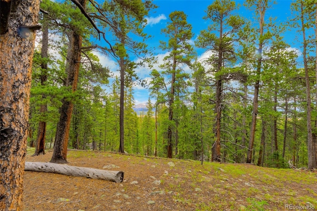 0000 Dry Gulch, Fairplay, CO 80440