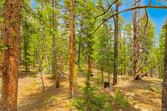 0000 Dry Gulch, Fairplay, CO 80440