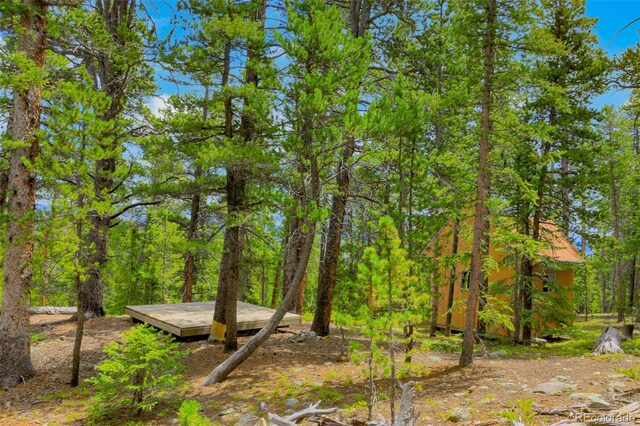 0000 Dry Gulch, Fairplay, CO 80440