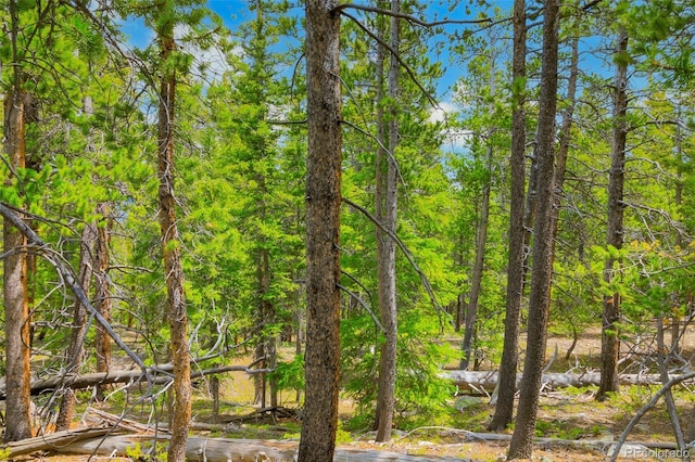 0000 Dry Gulch, Fairplay, CO 80440