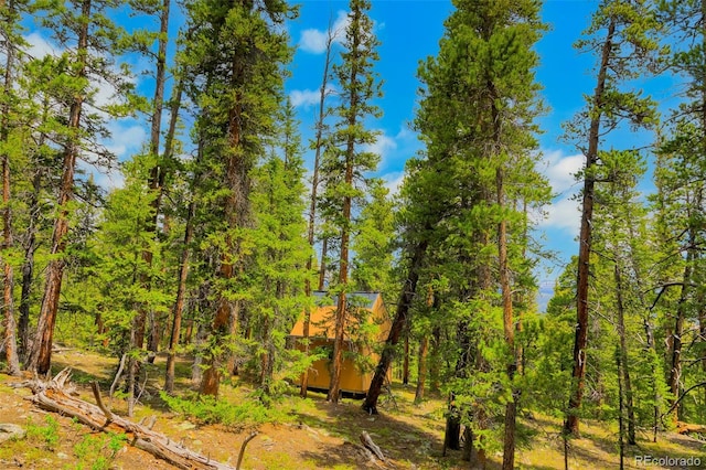 0000 Dry Gulch, Fairplay, CO 80440