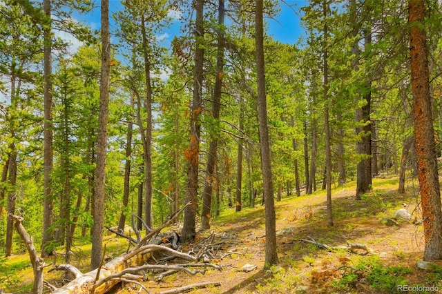0000 Dry Gulch, Fairplay, CO 80440