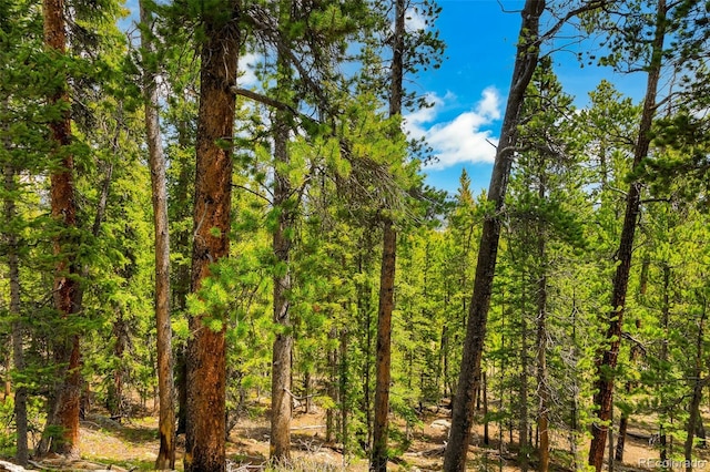 0000 Dry Gulch, Fairplay, CO 80440