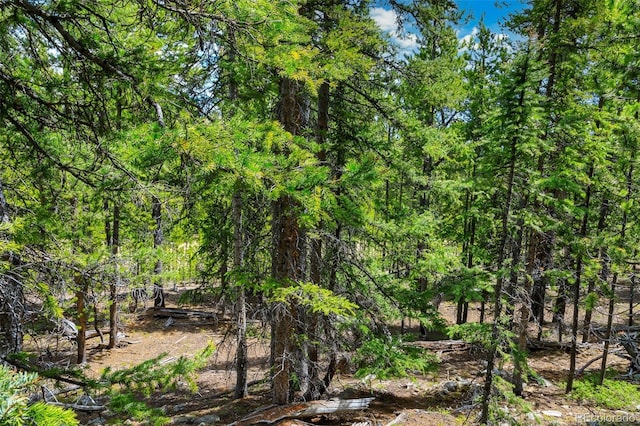 0000 Dry Gulch, Fairplay, CO 80440