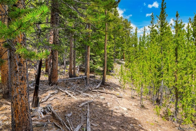 0000 Dry Gulch, Fairplay, CO 80440