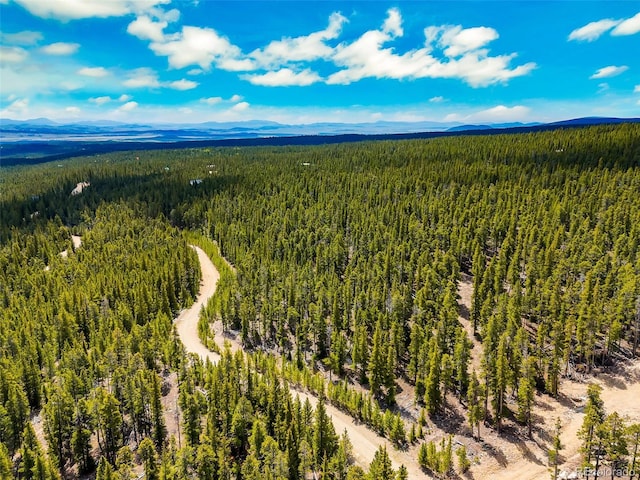 0000 Dry Gulch, Fairplay, CO 80440