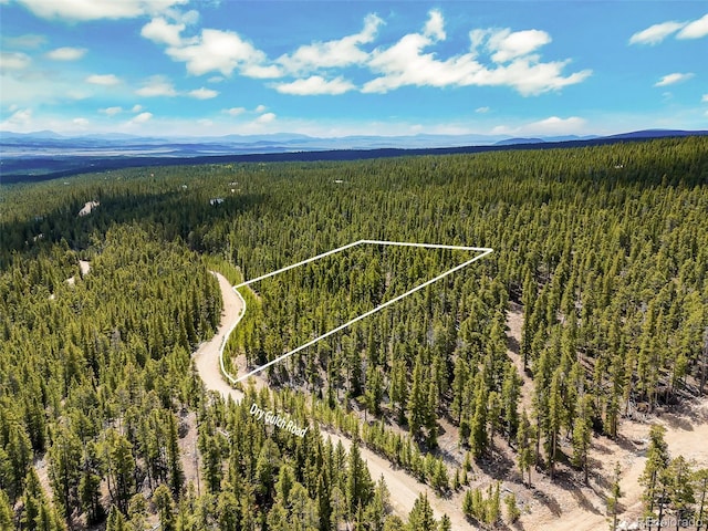 0000 Dry Gulch, Fairplay, CO 80440