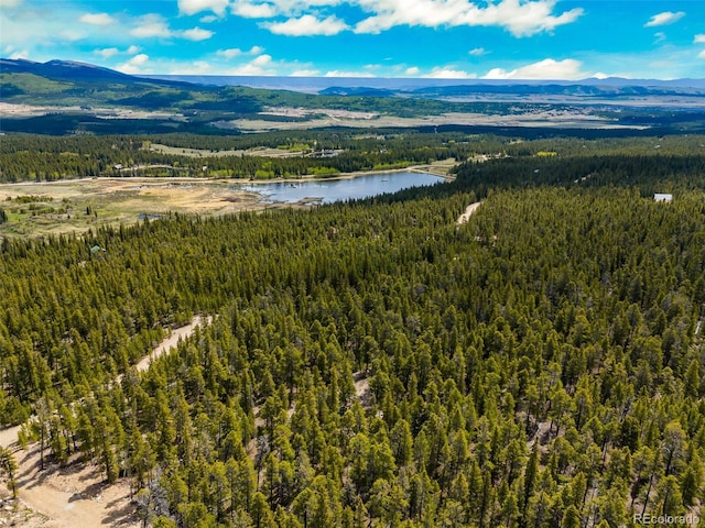 0000 Dry Gulch, Fairplay, CO 80440