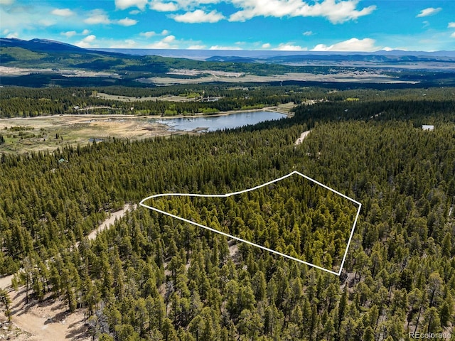 0000 Dry Gulch, Fairplay, CO 80440