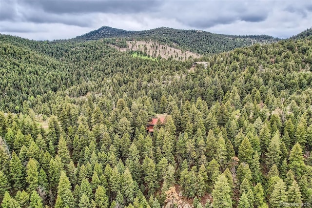 22615 Salugi Rd, Indian Hills, CO 80454 - photo 5