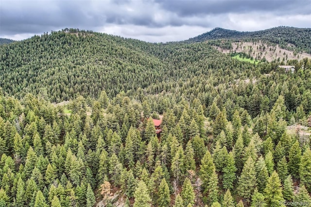 22615 Salugi Rd, Indian Hills, CO 80454 - photo 6