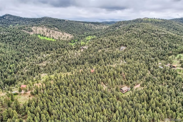 22615 Salugi Rd, Indian Hills, CO 80454 - photo 7