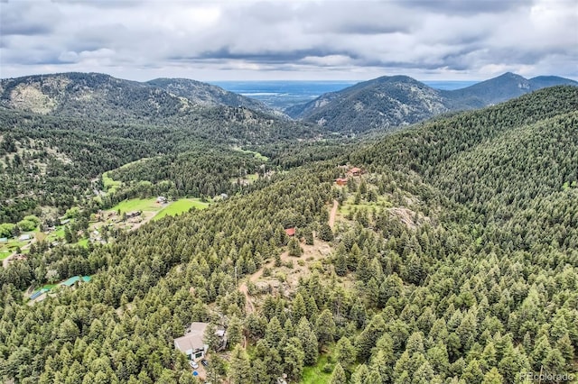 22615 Salugi Rd, Indian Hills, CO 80454 - photo 8