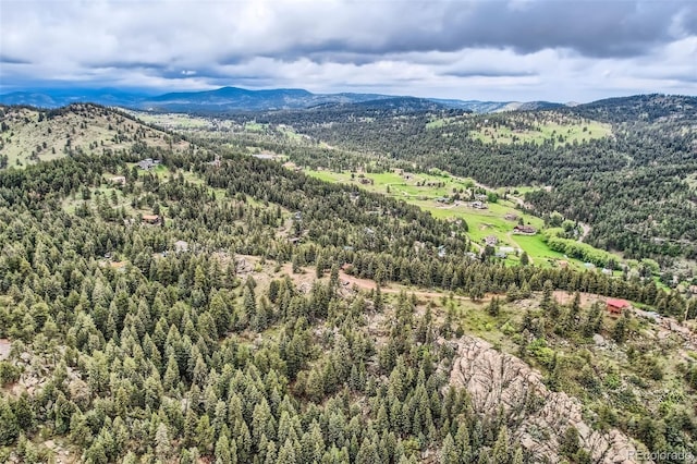 22615 Salugi Rd, Indian Hills, CO 80454 - photo 9