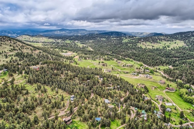 22615 Salugi Rd, Indian Hills, CO 80454 - photo 11