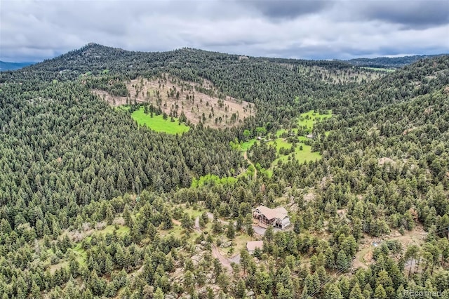 22615 Salugi Rd, Indian Hills, CO 80454 - photo 12