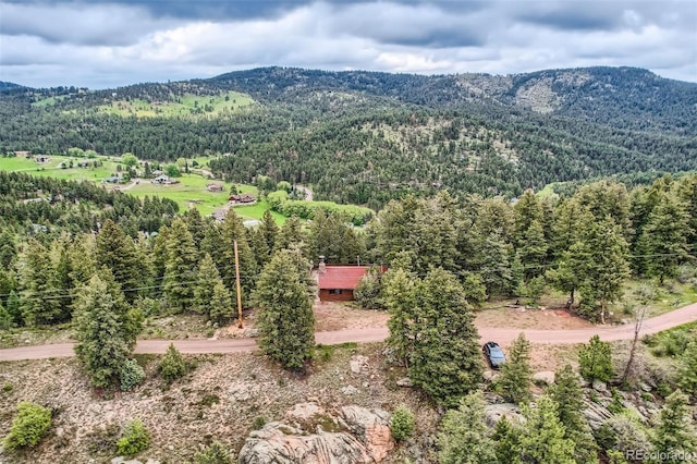 22615 Salugi Rd, Indian Hills, CO 80454 - photo 3