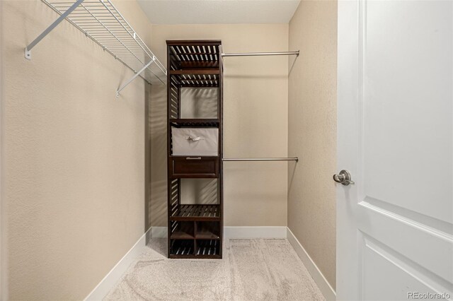 walk in closet featuring carpet flooring