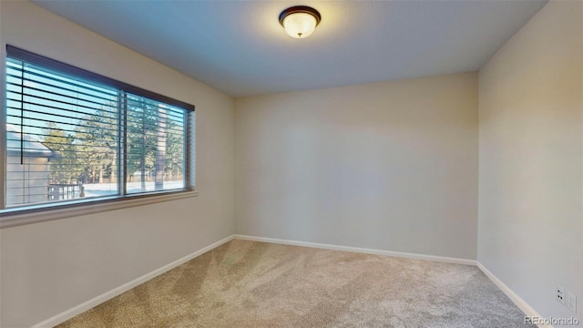 empty room featuring carpet