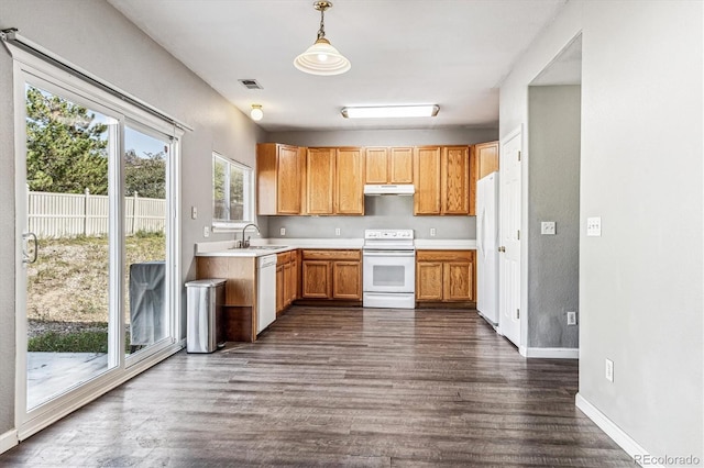 kitchen with pendant lighting, white appliances, dark hardwood / wood-style flooring, and sink