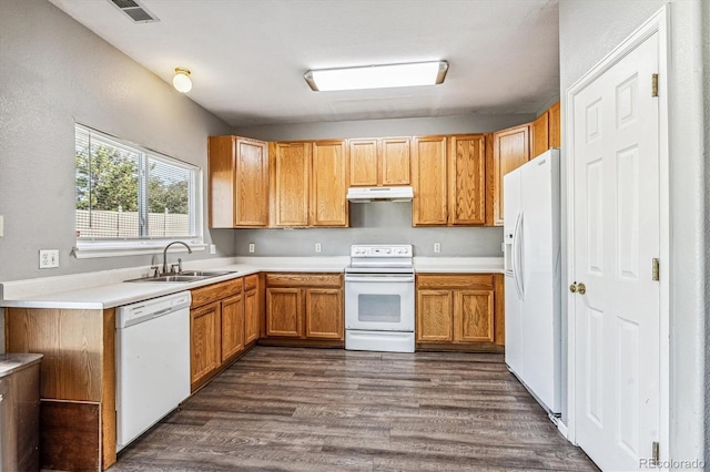 kitchen with sink, white appliances, and dark wood-type flooring