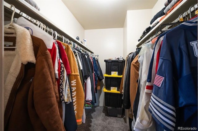 spacious closet featuring carpet