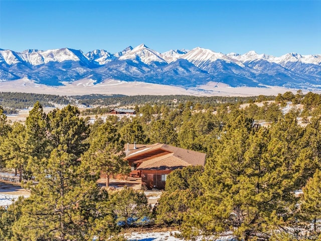 820 Schulze Ranch Rd, Westcliffe, CO 81252 - mountain view