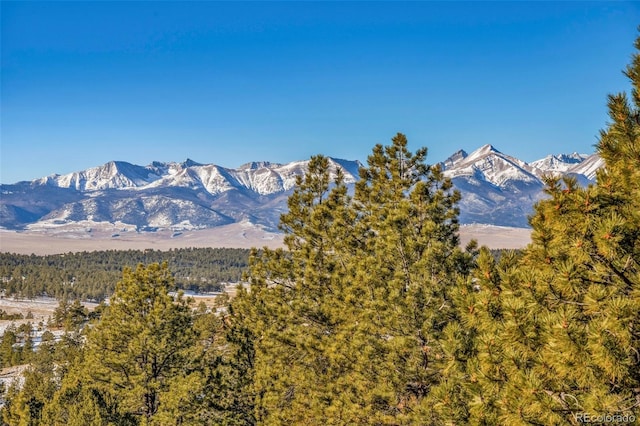 820 Schulze Ranch Rd, Westcliffe, CO 81252 - view of mountain background featuring a heavily wooded area