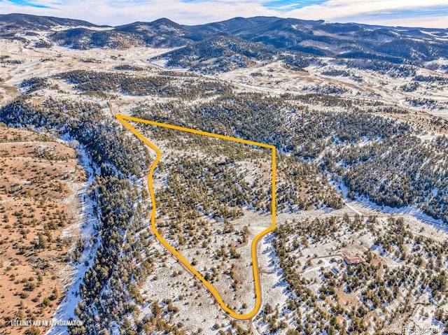 820 Schulze Ranch Rd, Westcliffe, CO 81252 - snowy aerial view with a mountain view and property boundaries highlighted