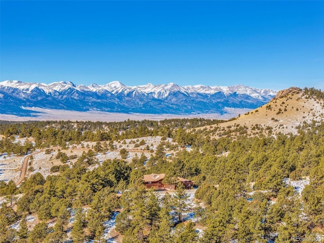 820 Schulze Ranch Rd, Westcliffe, CO 81252 - view of mountain background
