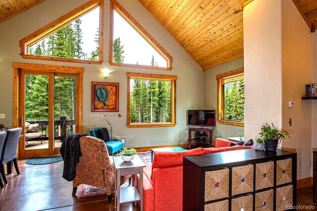 10 Bullion Mine Rd, Keystone, CO 80435 - living room with wood ceiling, high vaulted ceiling, and finished concrete flooring