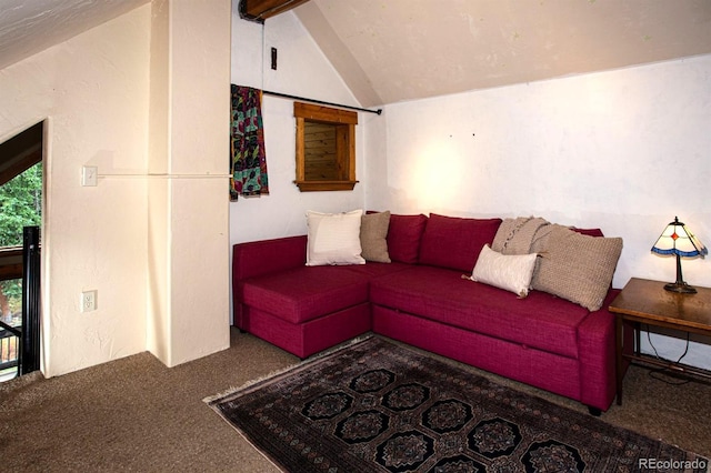 10 Bullion Mine Rd, Keystone, CO 80435 - living room with carpet floors