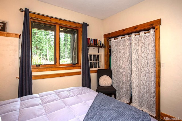 10 Bullion Mine Rd, Keystone, CO 80435 - view of bedroom