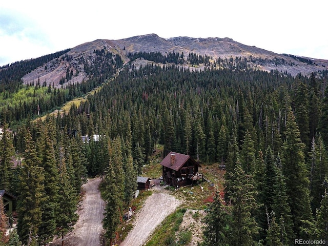10 Bullion Mine Rd, Keystone, CO 80435 - mountain view featuring a forest
