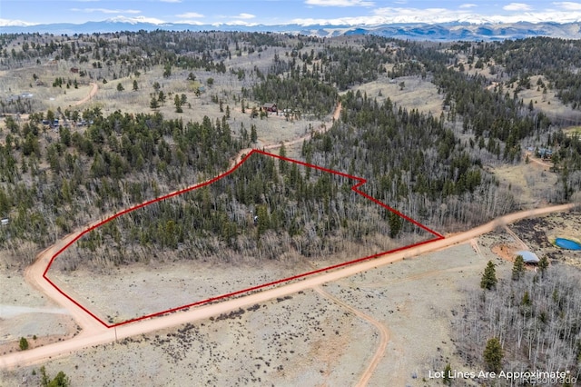 743 Pronghorn Dr, Como, CO 80432