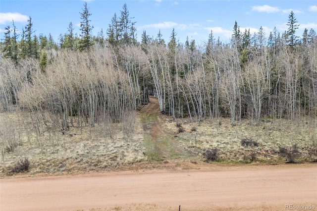 743 Pronghorn Dr, Como, CO 80432