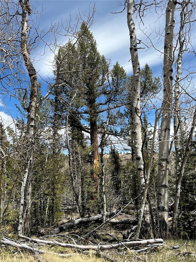 743 Pronghorn Dr, Como, CO 80432