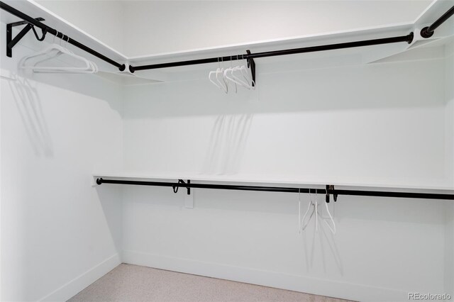 view of spacious closet