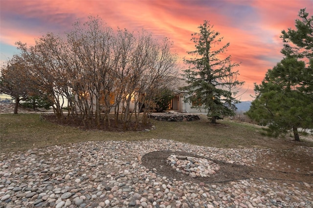265 Ox Yoke Way, Monument, CO 80132 - view of yard