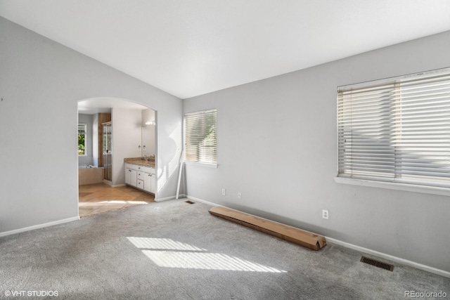 carpeted spare room with a wealth of natural light