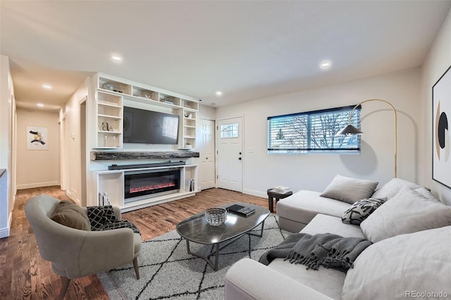 living room with wood-type flooring