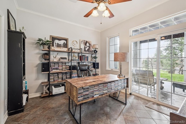 4185 Cheyenne Dr, Larkspur, CO 80118 - office space featuring baseboards, ceiling fan, healthy amount of natural light, and ornamental molding