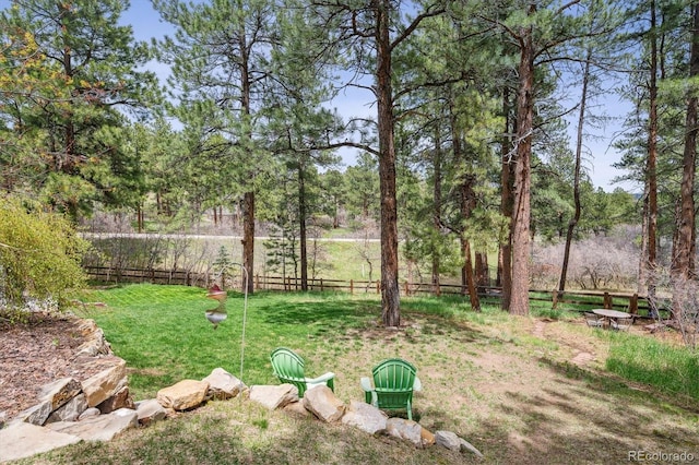 4185 Cheyenne Dr, Larkspur, CO 80118 - view of yard