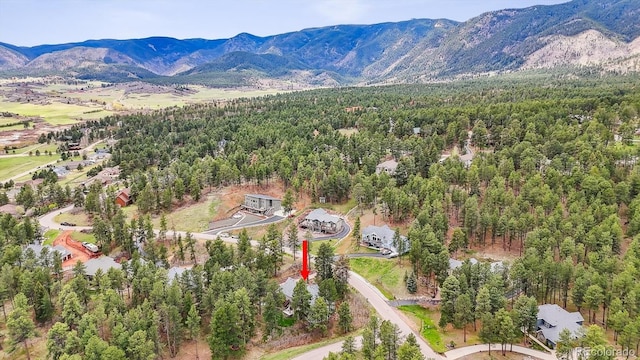 4185 Cheyenne Dr, Larkspur, CO 80118 - bird's eye view of a forest and a mountainous background