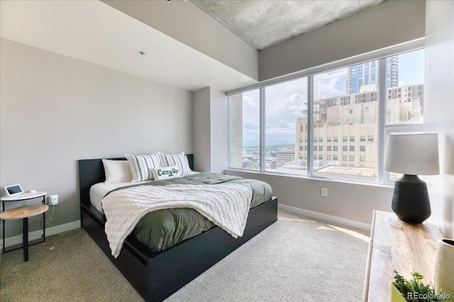 891 14th St Unit 2002, Denver, CO 80202 - bedroom featuring baseboards and carpet flooring
