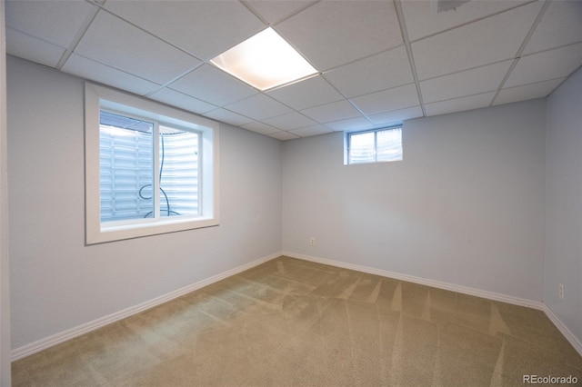 below grade area featuring a drop ceiling, baseboards, and carpet