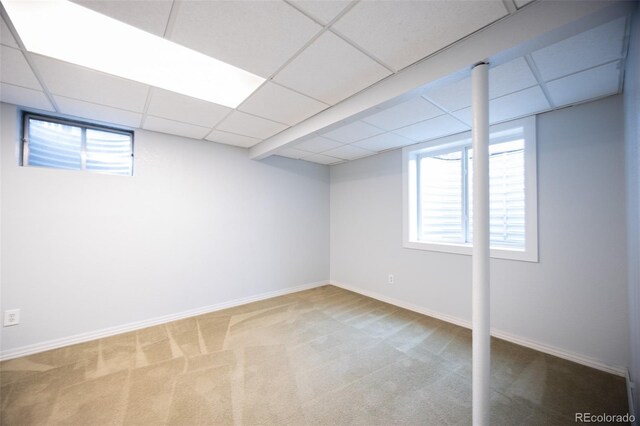 basement with plenty of natural light, a drop ceiling, baseboards, and carpet floors