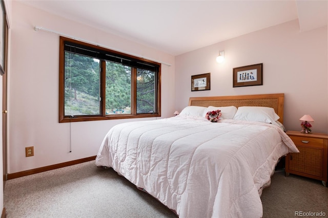 bedroom with baseboards and carpet floors